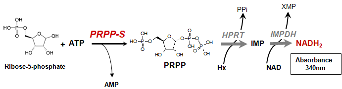 PRPP-S Assay Kit Principle
